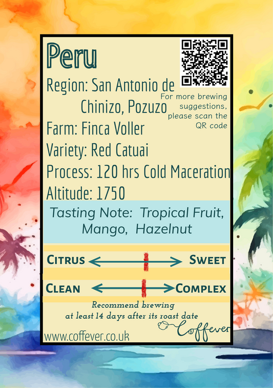 Finca Voller Peru - Cold Maceration Natural