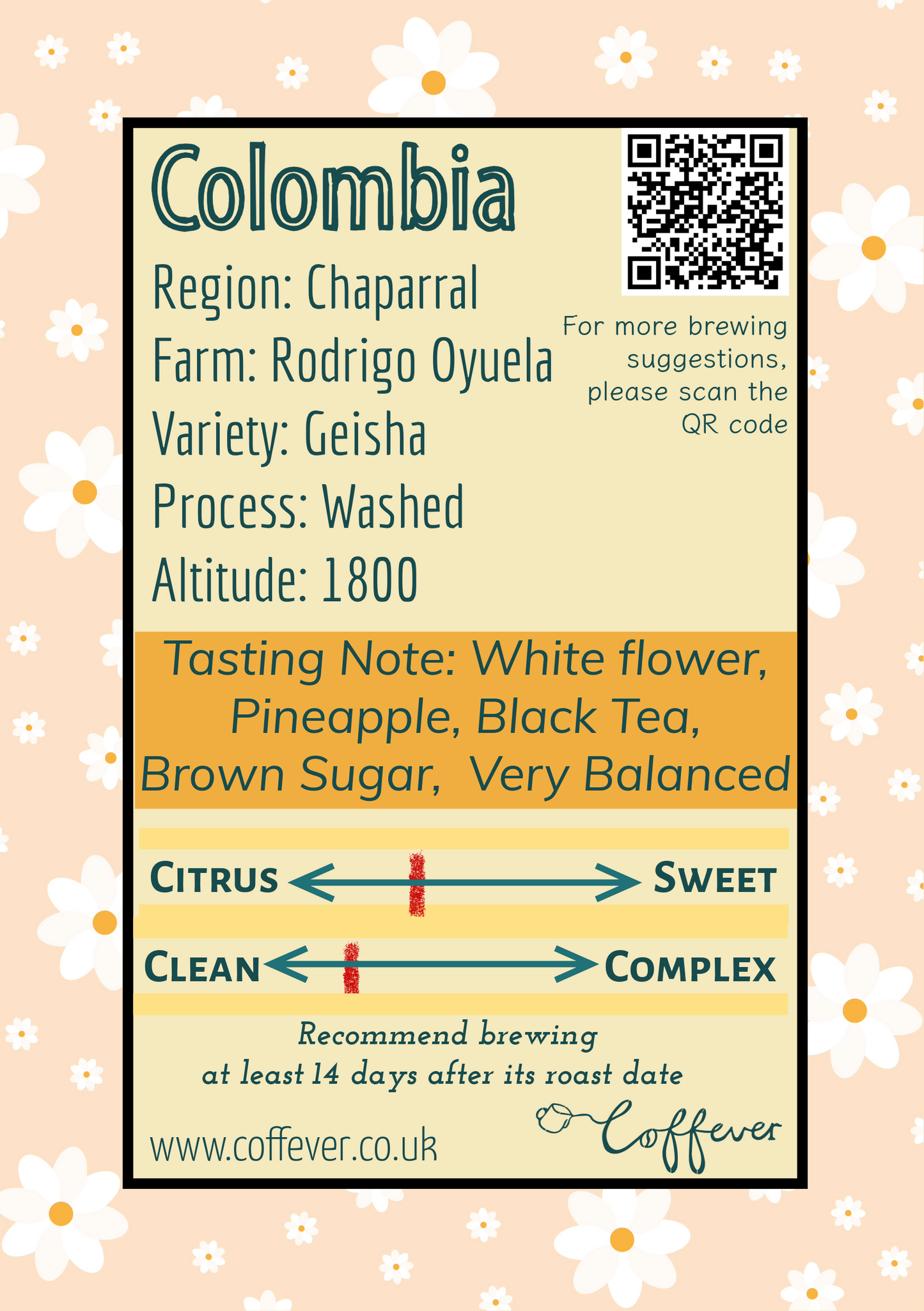 Rodrigo Oyuela - Attia Colombia